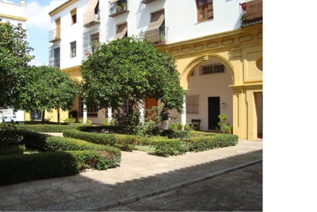Centrico Y Amplio Apartamento 100% Equipado Jerez de la Frontera Zewnętrze zdjęcie
